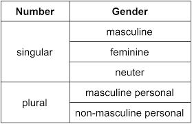 understanding polish adjectives