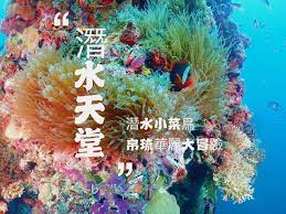 Maybe you would like to learn more about one of these? å¸›ç‰ æ½›æ°´å°èœé³¥ä¾†åˆ°æ½›æ°´å¤©å ‚çš„æµ·åº•è¯éº—å¤§å†'éšª å…§æœ‰å½±ç‰‡ æ½›é»žä»‹ç´¹ æ¬£å‚³åª'