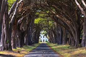 The Most Beautiful Places In California You Never Knew Existed Beautiful Places In California Places In California California Travel Road Trips
