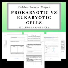Animal cells, plant cells, fungi, and protists are eukaryotes (eu = true). Prokaryotic Vs Eukaryotic Cell Packet With Answer Key Tpt