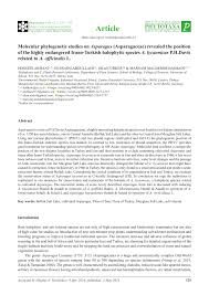 Image result for Asparagus krebsianus