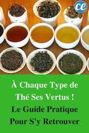 A Chaque Type De The Ses Vertus Le Guide Pratique Pour S Y Retrouver Types De The Listes D Epicerie Bonne Sante The