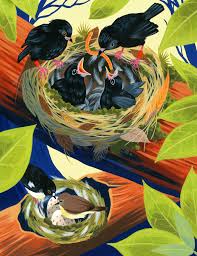 3370 great north road, glen eden, auckland. The Book Of Animal Superheroes Old Blue The Black Robin By David Dean