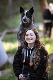 Adi Segal Photography