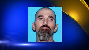 Arrest warrant for attempted murder issued for man who shot at police in  Arab