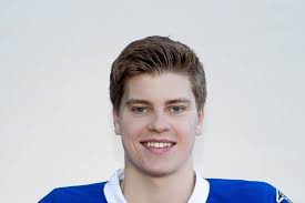 What does being a Moncton Wildcats fan mean?