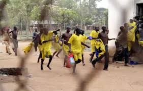 219 escape, 3 killed in bloody jail break - P.M. News