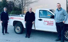 East valley termite control services. Arrow Exterminators Acquires Valley Pest Control Pest Management Professional