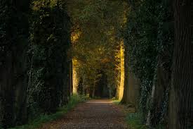 Haaksbergen, Netherlands Sunrise Sunset Times