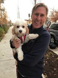 We provide a worldwide pet transport service by flying in the cabin with your pet. Car Relocation Pet Transport Services