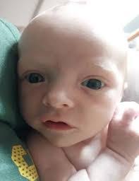 Marcus Helms's Instagram, Twitter & Facebook