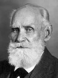 In behaviorist terms, food is an unconditioned stimulus and salivation is an. Ivan Pavlov Biografiya Foto Lichnaya Zhizn Nauka I Vklad 24smi