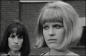 Ann Strunk's Instagram, Twitter & Facebook