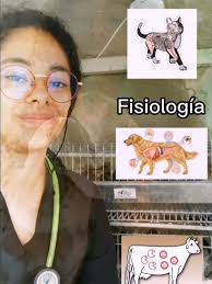 Médico Veterinario Zootecnista