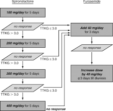 Image result for Transtubular Potassium Gradient