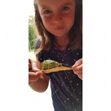 You've never seen someone so crunk to pick up her two big brothers from the  bus stop than this critter ❤️