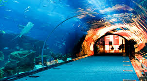 Emaar Akvaryum Istanbul Tickets