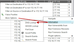Qradar Dns Lookups For Assets And Asset Details