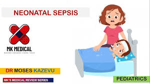 Image result for Neonatal Sepsis