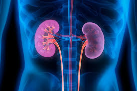 A fractured rib occurs when one of the bones in your rib cage breaks or cracks. A Doctor S Take On The Importance Of Kidney Health Phillyvoice