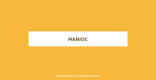 Manioc Definition De Manioc Dictionnaire La Langue Francaise