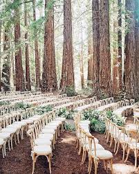 Fairytale Level Wedding Venue Aucklandweddings Boudoir1861 Outside Wedding Ceremonies Woodland Wedding Ceremony Outdoor Wedding Seating