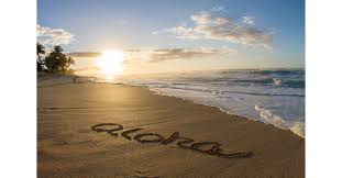 Josh green, who was tasked by gov. Westjet To Offer Approved Pre Flight Testing For Hawaii Travel