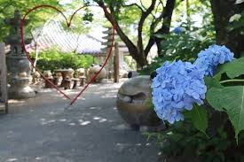 如意輪寺（かえる寺）風鈴まつり｜福岡のイベント・祭り－ふくおかサポートねっと－