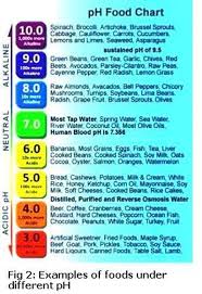 Acid Reflux Food Chart Food Acidity Chart Acid Reflux Diet