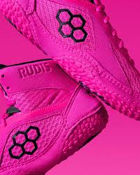 Image result for Aspilia rudis