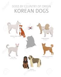 Check spelling or type a new query. Dogs By Country Of Origin Korean Dog Breeds Shepherds Hunting Herding Toy Working And Service Dogs Set Vector Illustration Royalty Free Cliparts Vectors And Stock Illustration Image 123493425