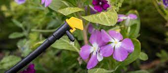 Maybe you would like to learn more about one of these? Drip Watering Tips