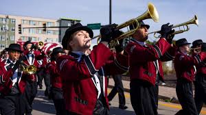 Image result for Sium repandum