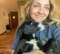 Olive, Hudson, and Jillie tax