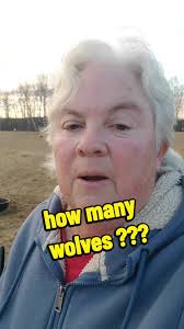 Managing the Wolf Population in Minnesota