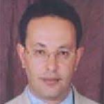 Ahmed Ghoneim : EuroMeSCo