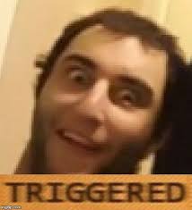Triggered Meme Generator Imgflip Triggered Meme Funny Pictures Can T Stop Laughing Dumb Quotes
