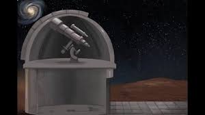 Image result for Pseudoeriosema