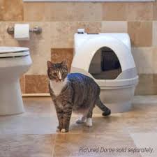 If you're a proud cat lady or gent with multiple cats in your home, you'll love the impressive storage capacity this container has. Amazon Com Catgenie A I Self Washing Cat Box Latest Model Pet Supplies