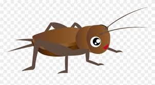 Download cricket insect images and photos. Free Cricket Insect Clipart Images Transparent Png ã‚³ã‚ªãƒ­ã‚® ã‚¤ãƒ©ã‚¹ãƒˆ 312168 Pinclipart