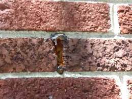 A clogged weep hole means two things: Nashville S Home Inspector Reveals Clogged Weep Holes Youtube