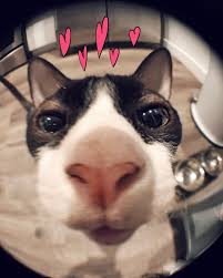 937 Begenme 32 Yorum Instagram Da The Dark Lord The Dark Lord Happy Valentines Day Dark Lord Lovers Now Come Give Your Lord A Big Kiss