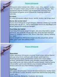 Pertanyaan tentang paragraf jenis paragraf dan contohnya pengertian paragraf paragraf adalah seperangkat atau sekelompok kalimat yang tersusun dari satu kalimat pokok dan beberapa kalimat penjelas. Pengembangan Instrumen Penilaian Kognitif Pada