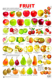 Fruit Chart 1 English Vocabulary Fruit Learn English