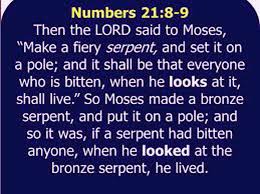 Numbers 21 8 9 Bible Quotes Book Of Numbers Sayings