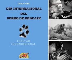 No sé si afamados autores han escrito sobre ésto , pero me da igual. 24 De Abril Dia Internacional Del Perro De Rescate Perrosdebusqueda