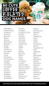 Cannolis might be hard on the outside, but they're soft and sweet on the inside. For Fun 80 Best Coffee Related Dog Names Hey Djangles