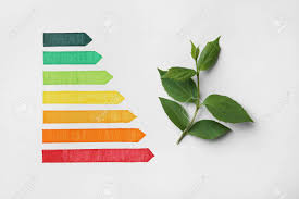 Energy Efficiency Rating Chart And Green Leaves On White Background