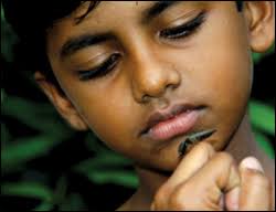 Jeonju Digital Project 2012