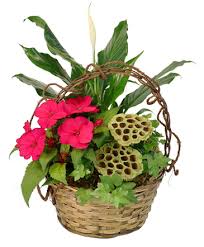 Maybe you would like to learn more about one of these? Conroe Florist Conroe Tx Flower Shop Heavenly Cakes And Flowers